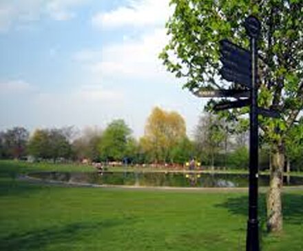 Victoria-ParkBUZZ-WEBSITE-PHOTO-TEMPLATE
