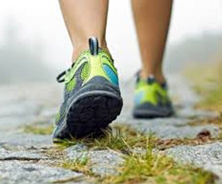 Walking-BUZZ-WEBSITE-PHOTO-TEMPLATE